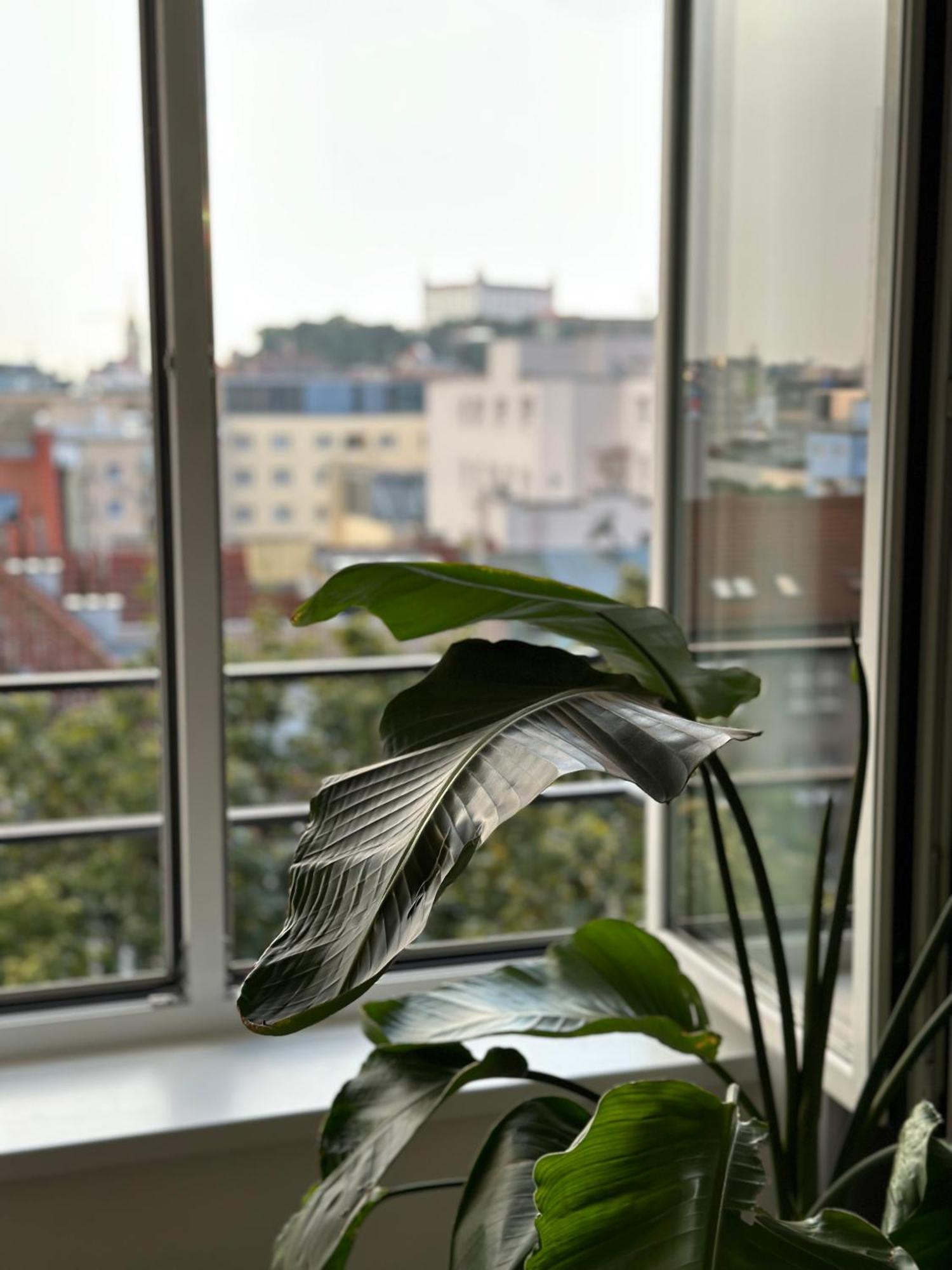 Appartamento Urban Zenhouse No.2 - Breakfast Included Bratislava Esterno foto